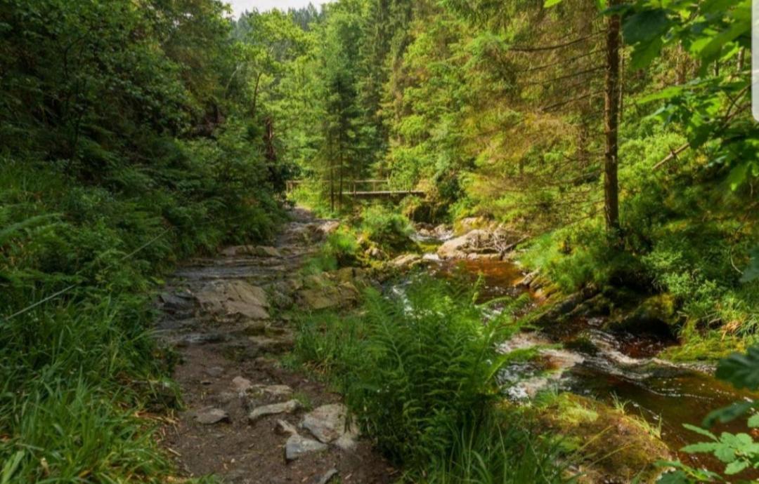 L'Essentiel A Francorchamps Daire Dış mekan fotoğraf